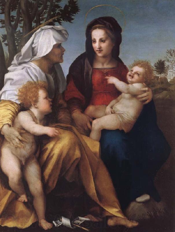 Andrea del Sarto THe Madonna and Child with Saint Elzabeth and Saint John the Baptist Spain oil painting art